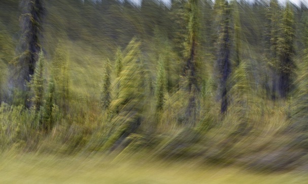 _MG_6365