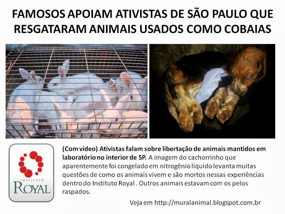 [FAMOSOS%2520APOIAM%2520ATIVISTAS%2520DE%2520S%25C3%2583O%2520PAULO%2520QUE%2520RESGATARAM%255B3%255D.jpg]