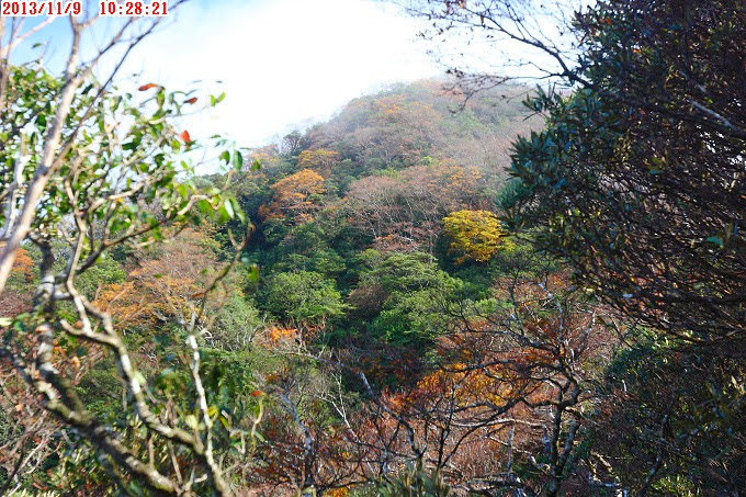 2013_1109_102821 2013_1109_102821