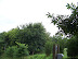 Mt. Vernon In August