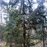 dsc00718.jpg