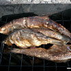 P1050330.JPG