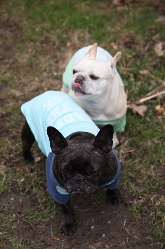 Francesca, let's go home and see if our dinner is ready yet.  I'm kind of hungry!  Perhaps chicken tonight?