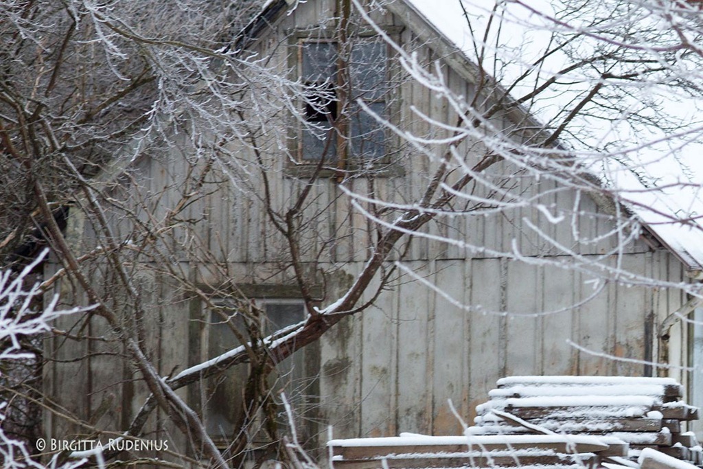 [window_20120125_old%255B2%255D.jpg]