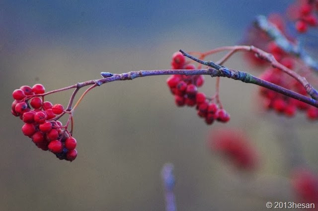 039 (640x425) 039 (640x425)
