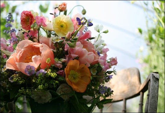 IMG_1948 floret flowers