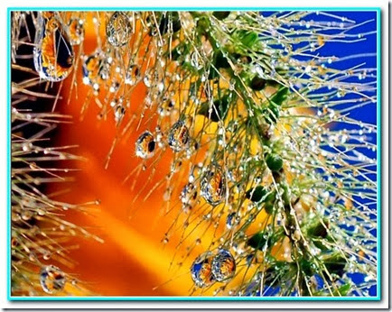 Gota de luz Gota de luz