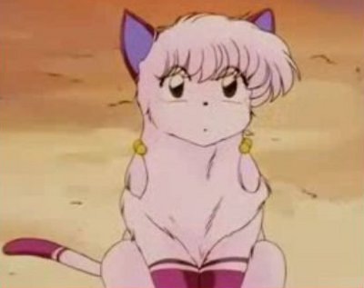 Shampoo di Ranma trasformata in gatta