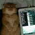 Mendengarkan Musik Sebelum Tidur