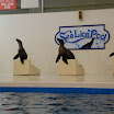 hokkaido_362.jpg