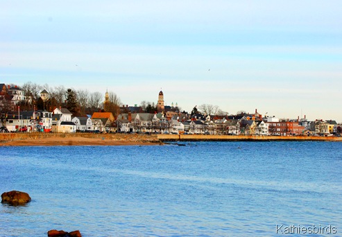 1. Gloucester-kab