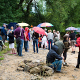 Taufe im Main Juli 2009