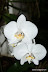 Natura :: Img0496.jpg