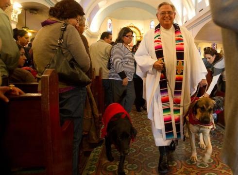 [Pooches-take-the-pulpit-27QTN89-x-large%255B2%255D.jpg]