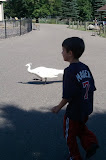 2011-08-28 14.28.56.jpg