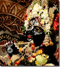 Krishna deity