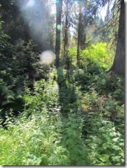 IMG_8164 IMG_8164