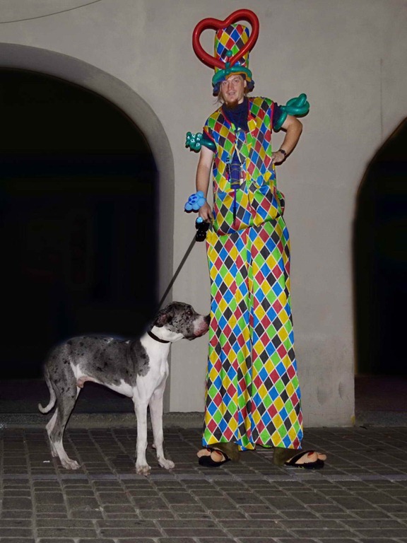 [DSC0036_%255B4%255D.jpg]