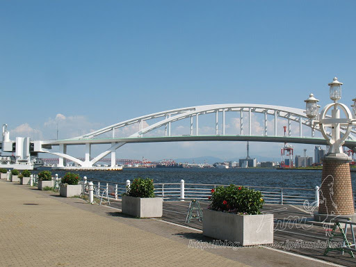 愛内里菜 の掲示板投稿写真＆画像