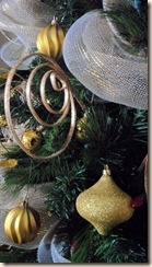 SAM_4573 SAM_4573