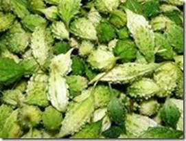 Trái khổ qua rừng Trái khổ qua rừng