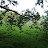 Landscapes and Wildlife Landscapes and Wildlife