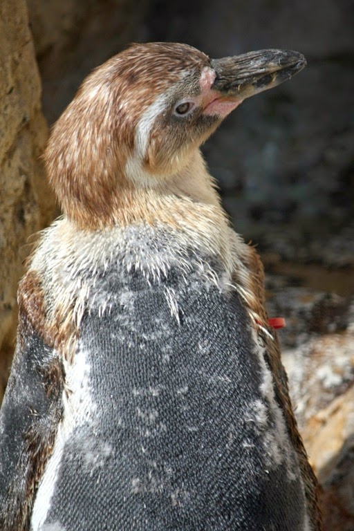 [IMG_2468-001%255B6%255D.jpg]