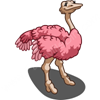 Pink Ostrich