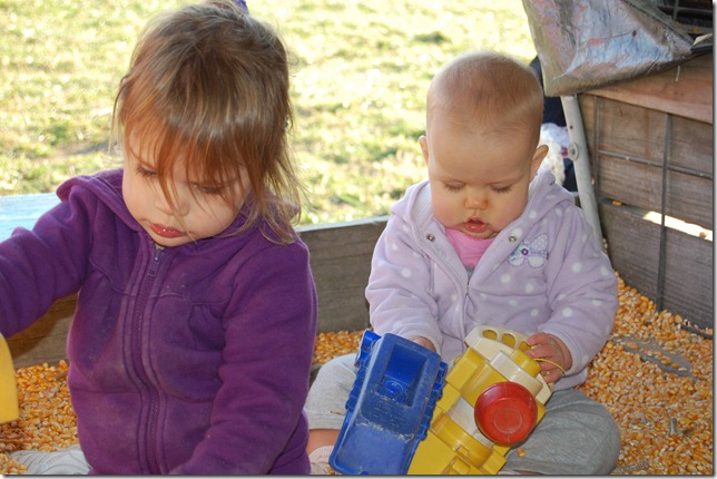 DSC_0789 DSC_0789