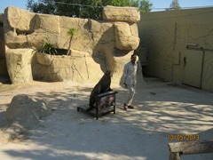 IMG_3452 IMG_3452