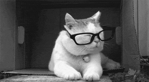 [tumblr_m4yuylweQc1qi2s2g%255B2%255D.gif]