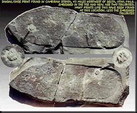 Huellas humanass con un tribolite Huellas humanass con un tribolite