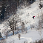 2011-snejinka-50.jpg
