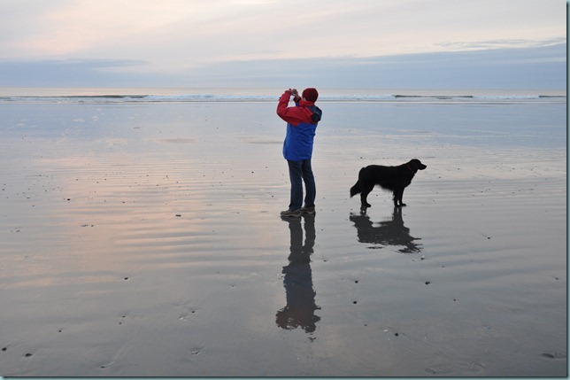 DSC_0241 DSC_0241