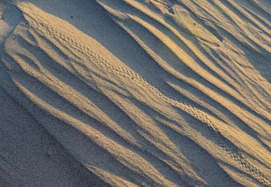 dawn at the dunes