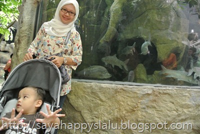 DSC_2912 DSC_2912