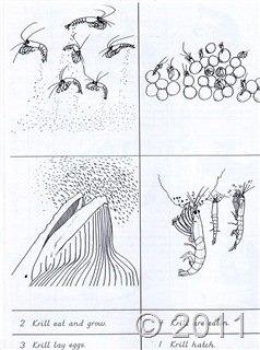 [image2%255B10%255D.jpg]