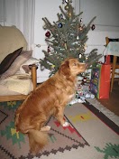 IMG_3068.JPG