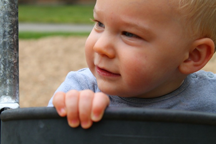 IMG_3681 IMG_3681