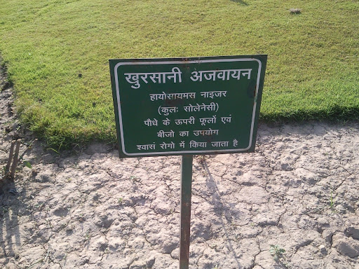 Hina Yadav
