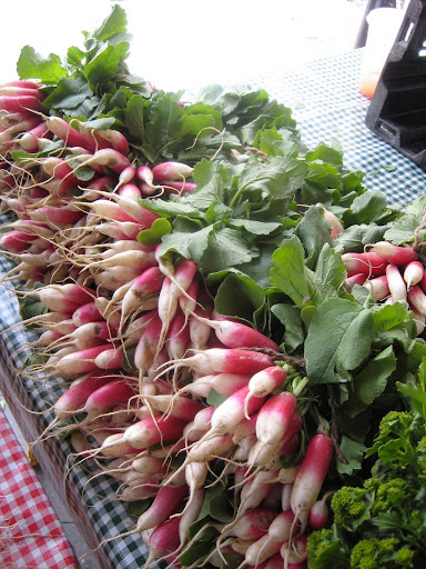 French breakfast radishes. Delicious with softened butter and sea salt!