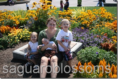 IMG_7498 IMG_7498