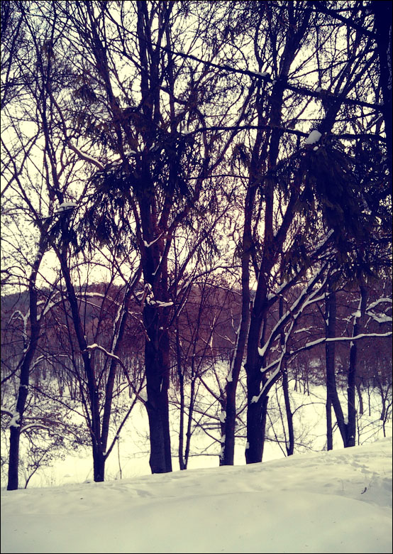 IMAG0090.jpg
