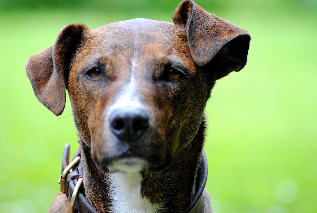 [9%2520July%252018%255B3%255D.jpg]