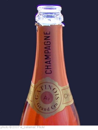'Champagne Gatinois Rosé Grand Cru' photo (c) 2007, e_calamar - license: http://creativecommons.org/licenses/by/2.0/
