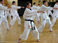 copyright by Ralph Görlach (Bushido Lubwart Bad Liebenwerda e.V.)