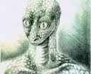 [reptiliano_reptiloide3.jpg]