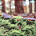 DSCN4345.JPG