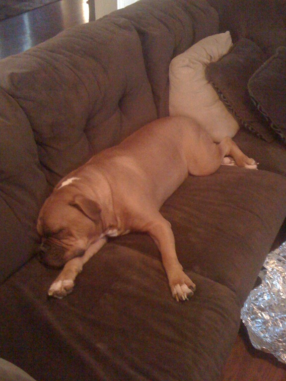 [IMG_0556%255B3%255D.jpg]
