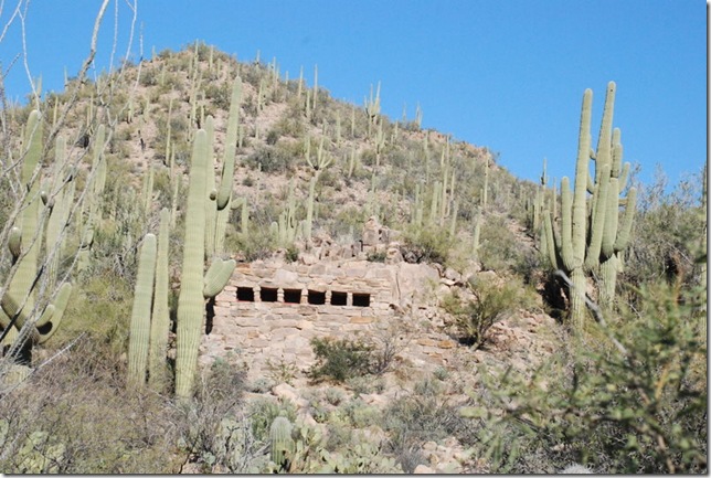 01-02-12 Saguaro National Park - West 080